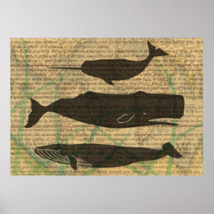  Antique Whale Nautical: Vintage Sea Life  Poster