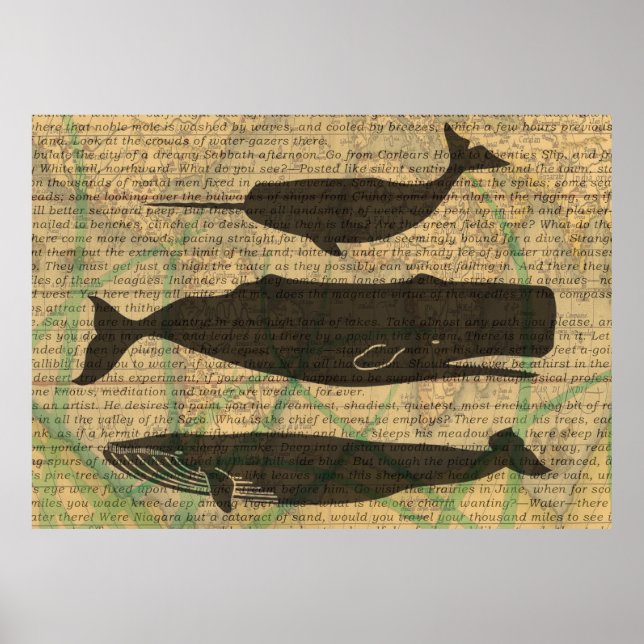  Antique Whale Nautical: Vintage Sea Life  Poster (Front)