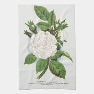 Antique White Moss Rose Flower Garden Art Tea Towel
