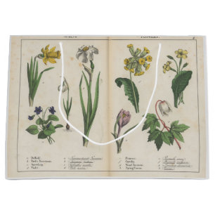 Antique Wildflower Pink and Green Gift Bag