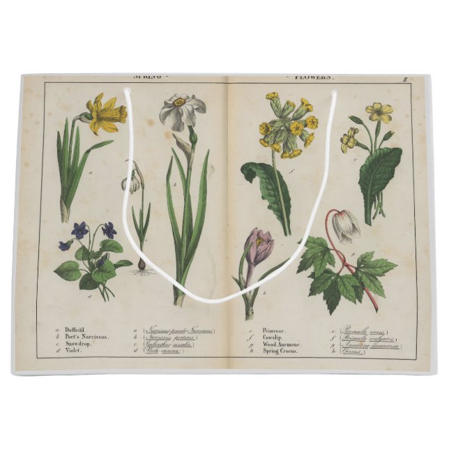 Antique Wildflower Pink and Green Gift Bag (Front)