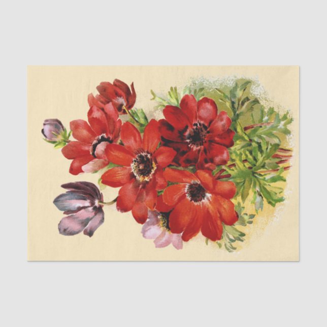 Antique Windflower of 1898 Tissue Paper (Front)