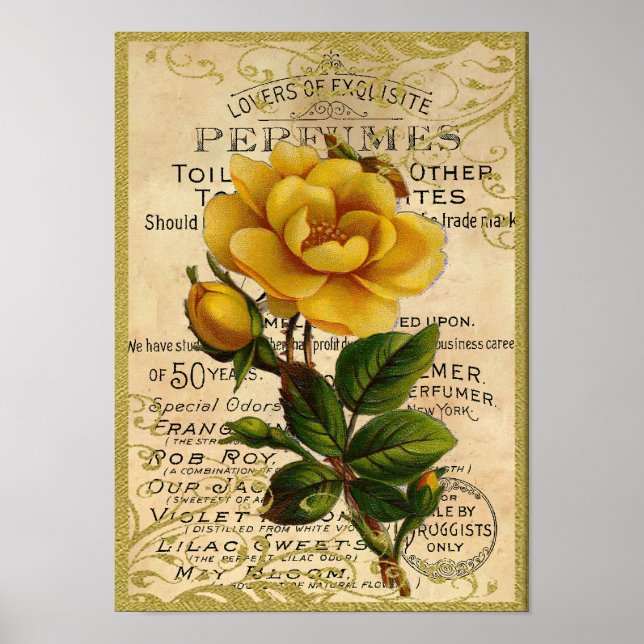 Antique Yellow Roses Perfume Poster (Front)