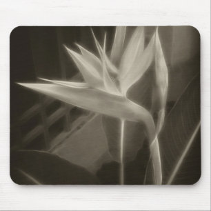 Antiqued Bird of Paradise 10 Mouse Mat