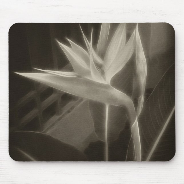 Antiqued Bird of Paradise 10 Mouse Mat (Front)