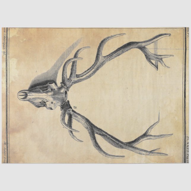 Antler Decoupage Paper (Front)