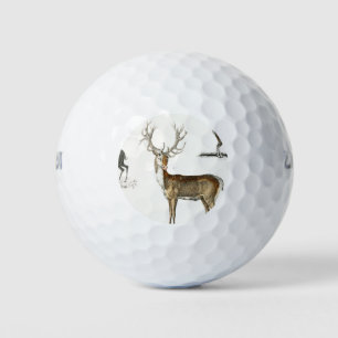 antlers, deer, nature, hunting, animal, buck, wild golf balls