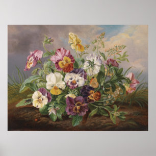 Anton Mollis Vintage Pansy Poster