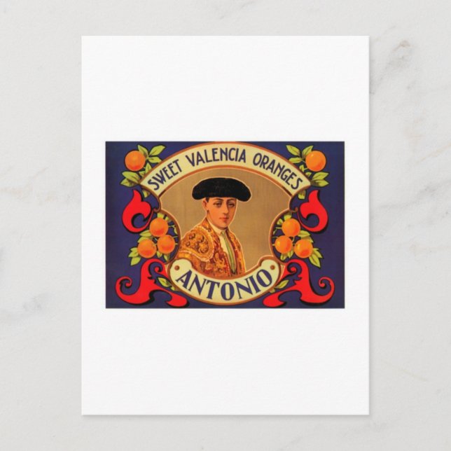 Antonio Sweet Valencia Oranges Postcard (Front)