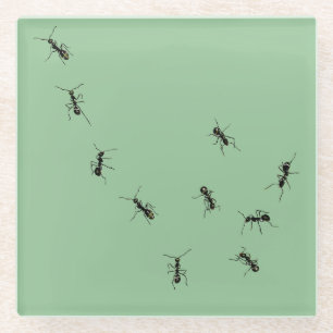 Ants Glass Coaster