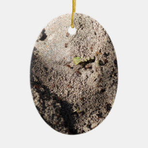 Ants Go Marching Ceramic Tree Decoration