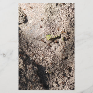 Ants Go Marching Stationery