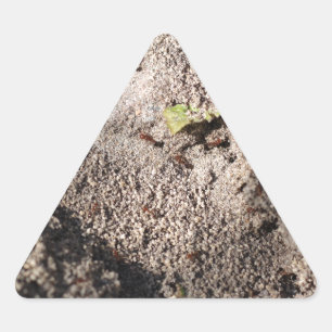 Ants Go Marching Triangle Sticker