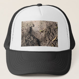 Ants Go Marching Trucker Hat