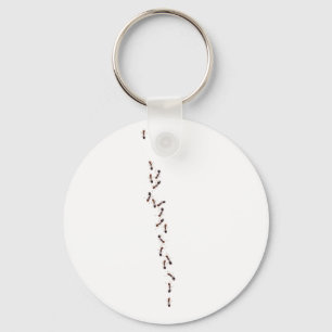 ants key ring
