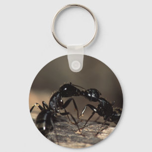 ants key ring