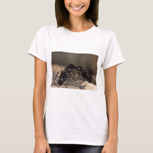 ants kissing T-Shirt