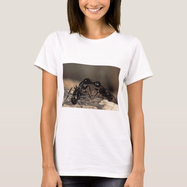 ants kissing T-Shirt (Front)