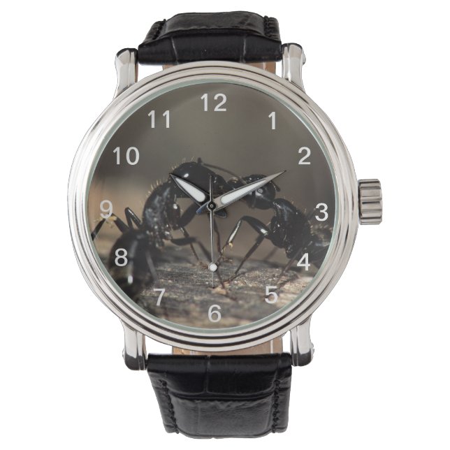ants kissing watch (Front)