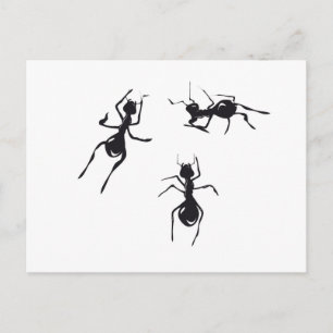 ANTS POSTCARD