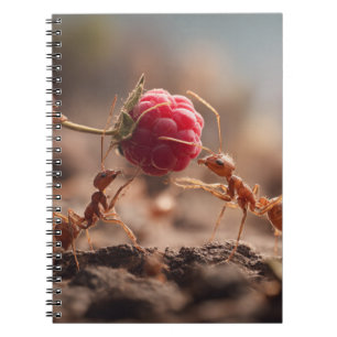 Ants Raspberry teamwork Notebook