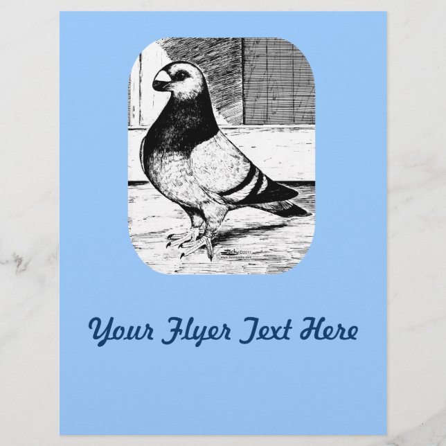 Antwerp Short Faced Pigeon Flyer (Front)