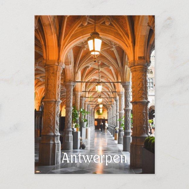 Antwerpen Belgium photo  Postcard (Front)