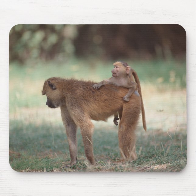 Anubis Baboon Mouse Mat (Front)