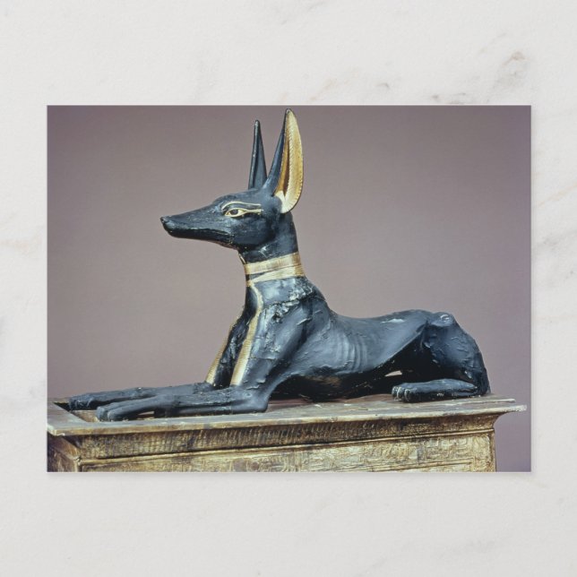 Anubis, Egyptian god of the dead from a chest Postcard (Front)