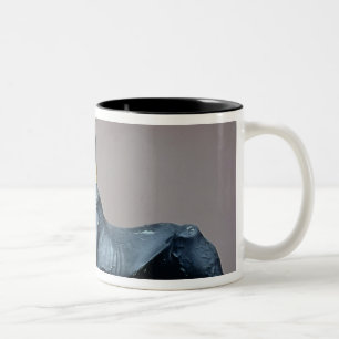 Anubis, Egyptian god of the dead from a chest Two-Tone Coffee Mug