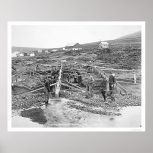 Anvil Creek Gold Mine Alaska 1916 Poster