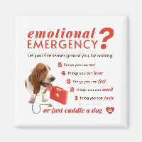 Anxiety - 54321 Countdown - Doctor Dog - Bassett