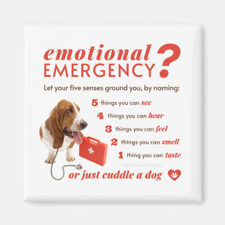 Anxiety - 54321 Countdown - Doctor Dog - Bassett Magnet