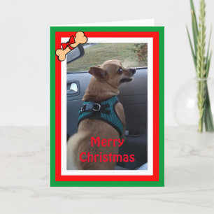 Any Dog Photo Christmas/Holiday Card