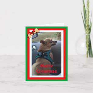Any Dog Photo Christmas/Holiday Cards