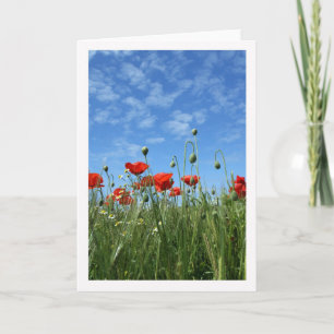 Any Occasion - Note Card - Red Poppies In A Meadow