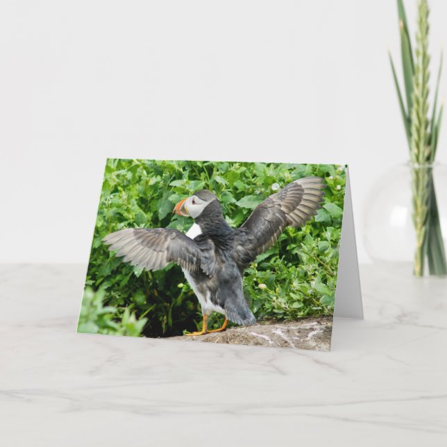 Any Occasion Puffin Greeting Card (Front)