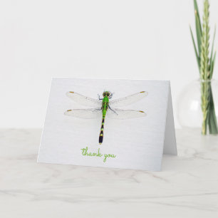 Any Occasion Thank You with Dragonfly Card