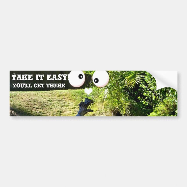 Any Occasions_ Bumper Sticker (Front)