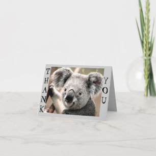 Any Occasions,Koala Bear_ Thank You Card