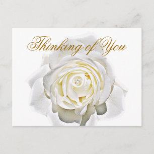 Any-Occasions_ Postcard