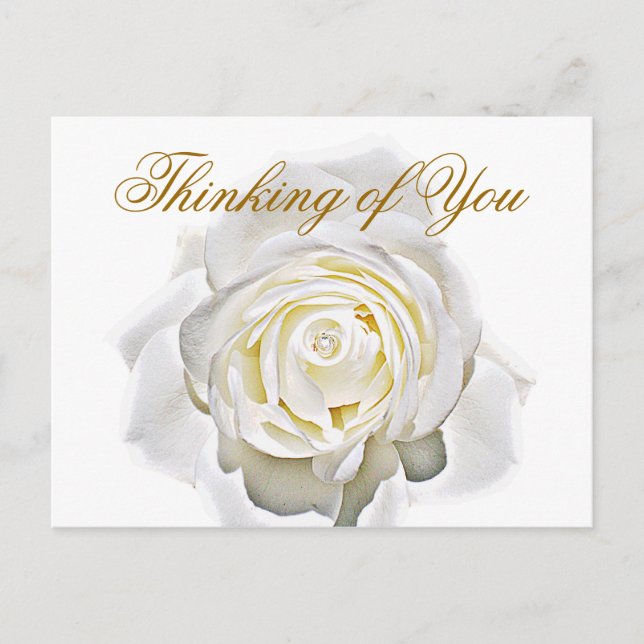 Any-Occasions_ Postcard (Front)