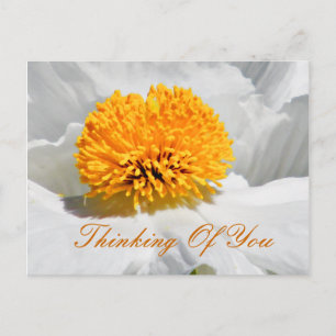 Any Occasions_ Postcard