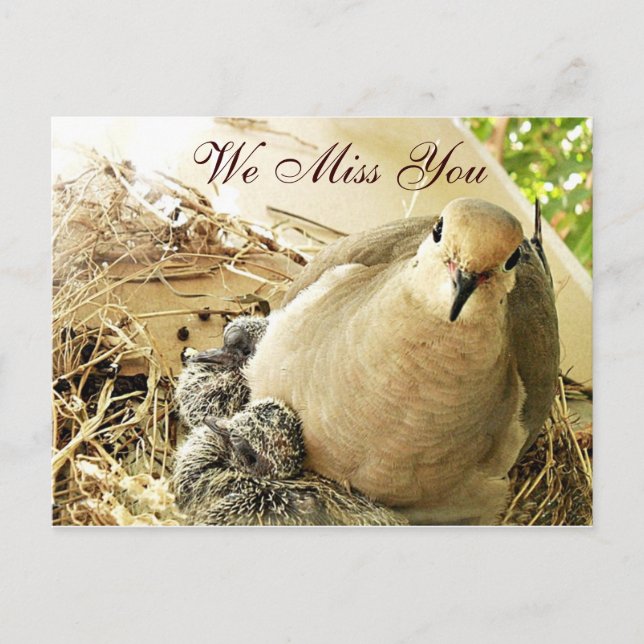 Any-Occasions_ Postcard (Front)