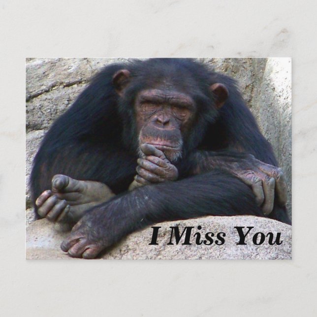 Any Occasions_ Postcard (Front)