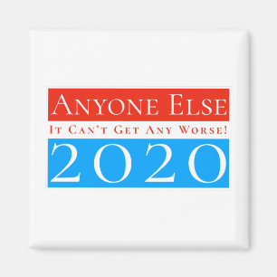Anyone Else 2020: It Can't Get Any Worse Magnet