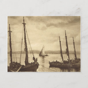 Anyone for Oysters! Fishing boats Postcard