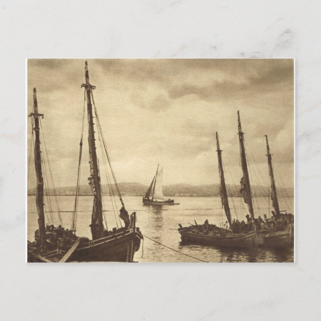 Anyone for Oysters!  Fishing boats Postcard (Front)