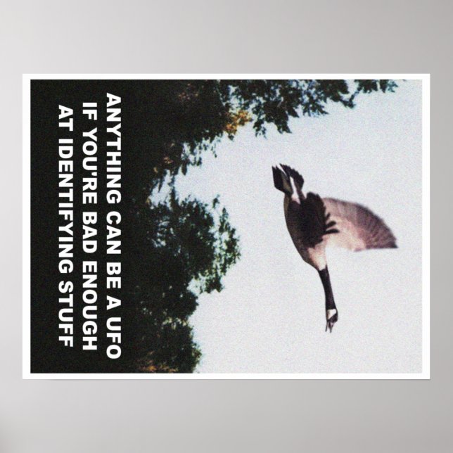 Anything can be a UFO (medium) Poster (Front)