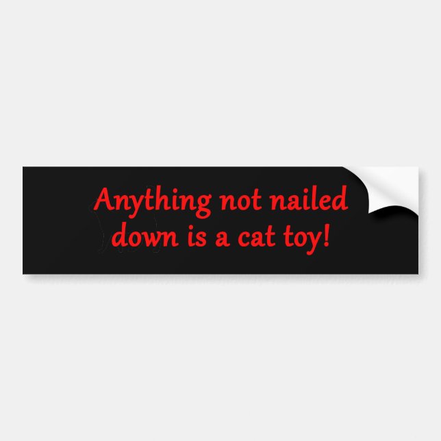 Anything Cat Toy Bumper Sticker (Front)